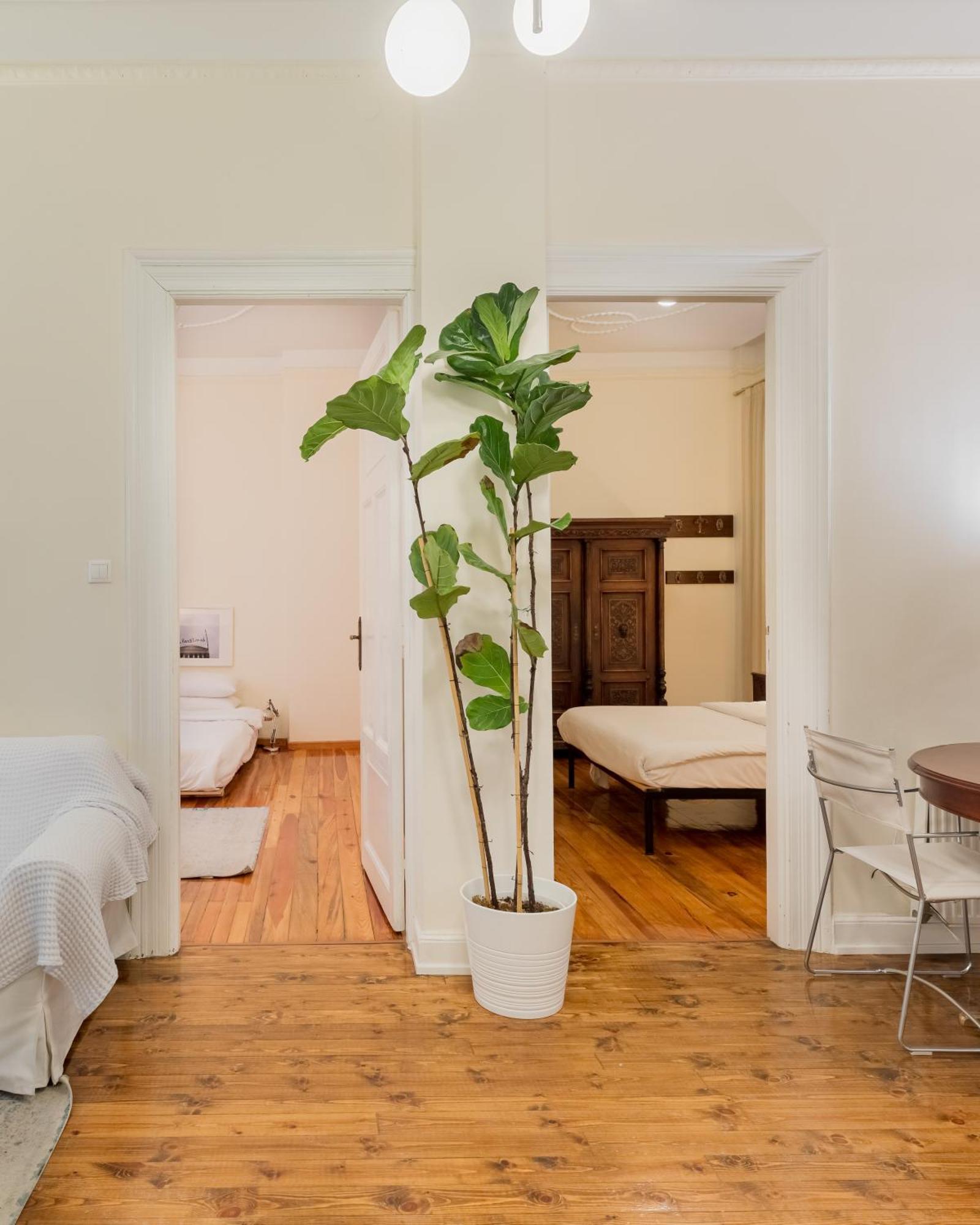 #Magnolia Apt By Halu! Apartments Tesalonika Bagian luar foto